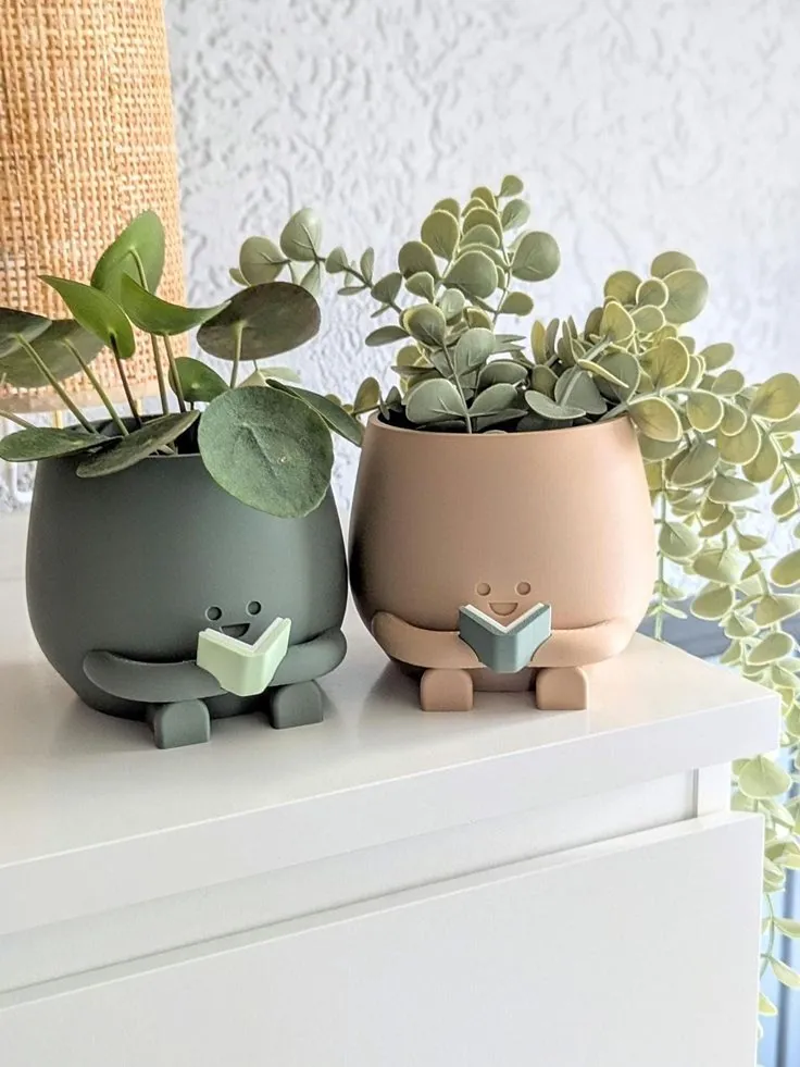 Indoor Plant with a Message Card