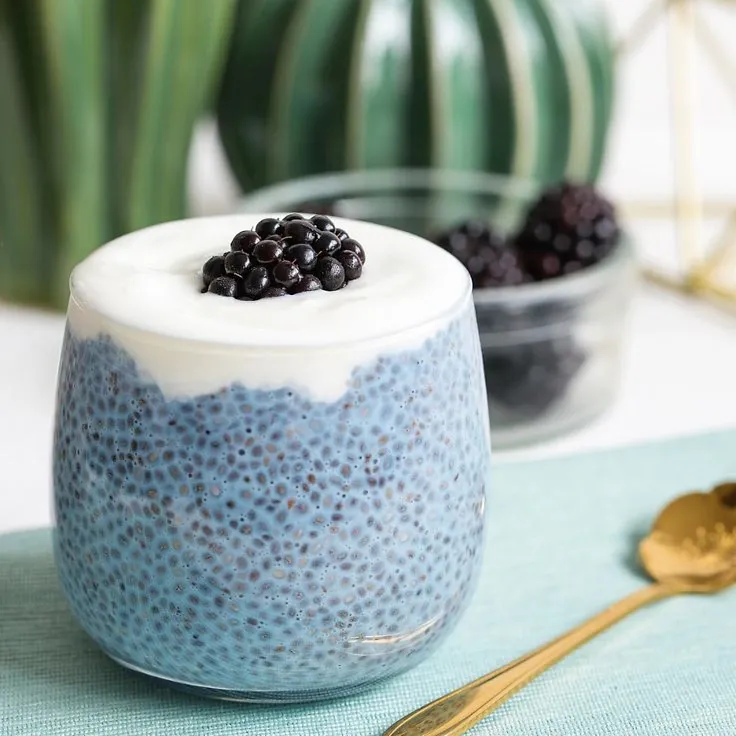 Elderberry Chia Seed Pudding