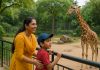 चिड़ियाघर की यात्रा पर निबंध (A Visit To A Zoo Essay in Hindi) A Visit To A Zoo Essay in Hindi