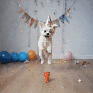 Funny New Year Gifs Funny New Year Gifs
