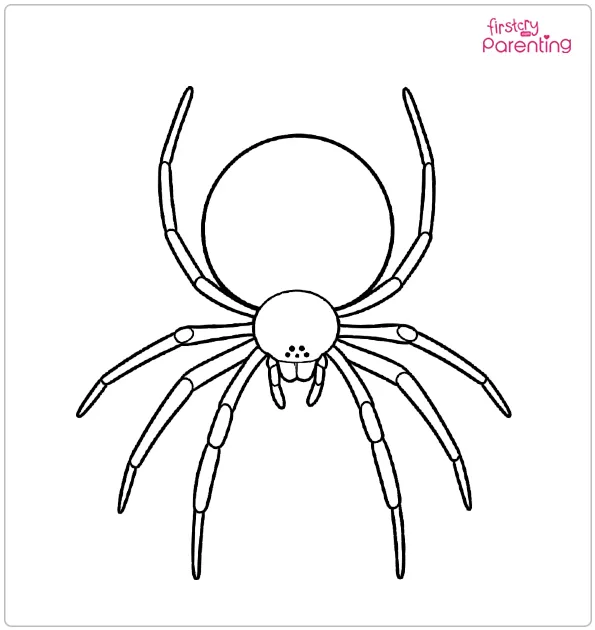 Realistic Spider Coloring Page Realistic Spider Coloring Page