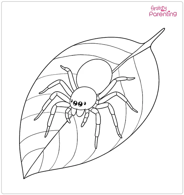 Small Spider on a Leaf Coloring Page Small Spider on a Leaf Coloring Page