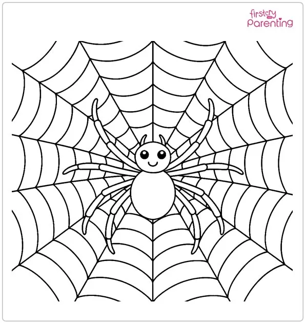 Spider On Web Coloring Page Spider On Web Coloring Page