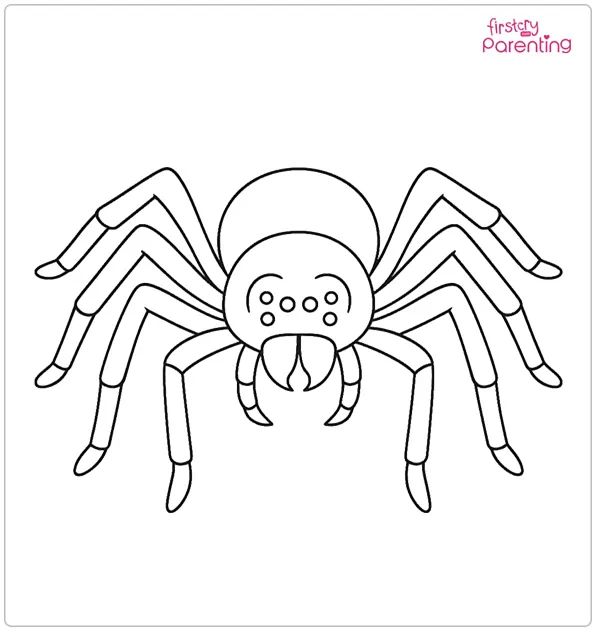 Wolf Spider Coloring Page Wolf Spider Coloring Page