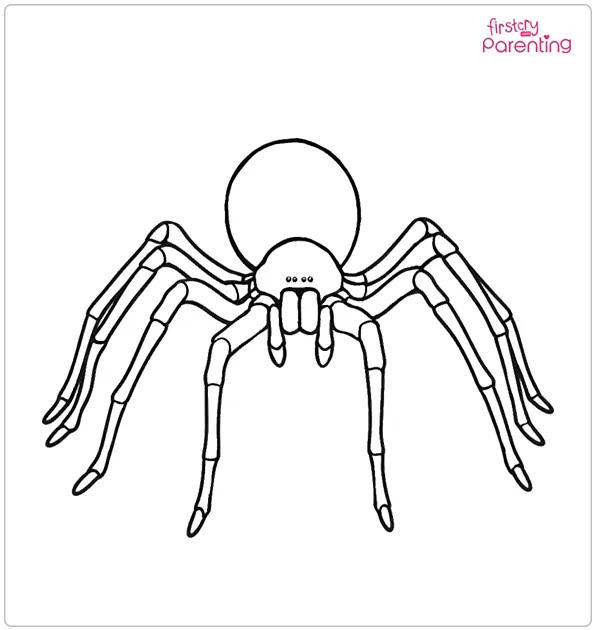 Camel Spider Coloring Page Camel Spider Coloring Page