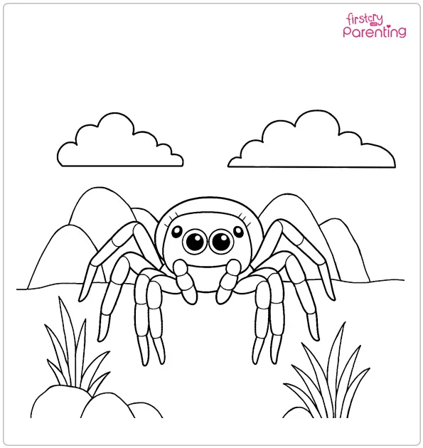 Jumping Spider Coloring Page Jumping Spider Coloring Page