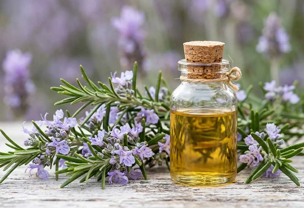 Can You Use Rosemary Oil While Pregnant? Can You Use Rosemary Oil While Pregnant?