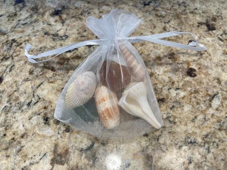 Shell Treasure Bags