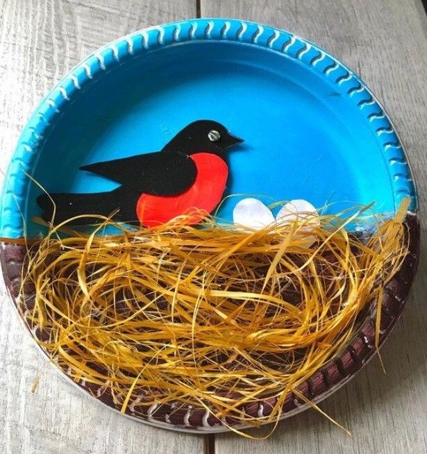 Bird Nest Craft
