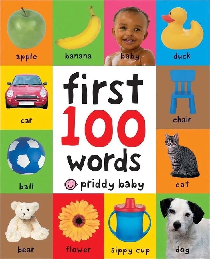 First 100 Words Board Book (By Roger Priddy)
