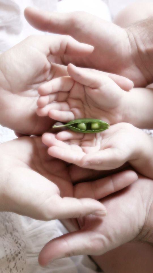 Two Peas in a Pod Two Peas in a Pod