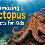 20 Amazing Octopus Facts for Kids to Learn & Share