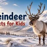 15 Reindeer Facts for Kids That Will Amaze You