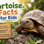 20 Amazing Tortoise Facts for Kids to Learn