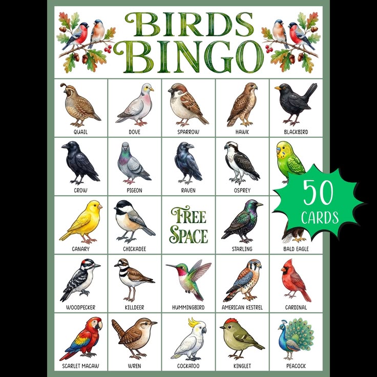 Bird Watching Bingo