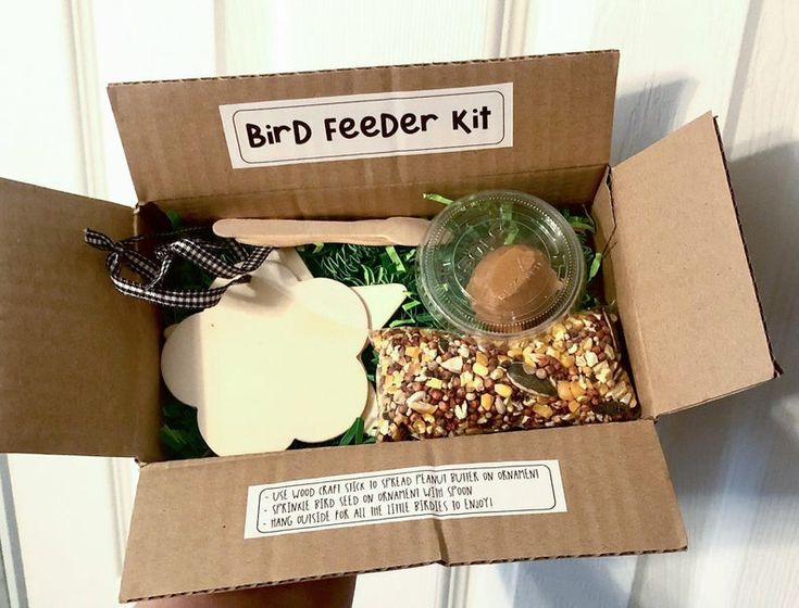Bird Feeder Kits