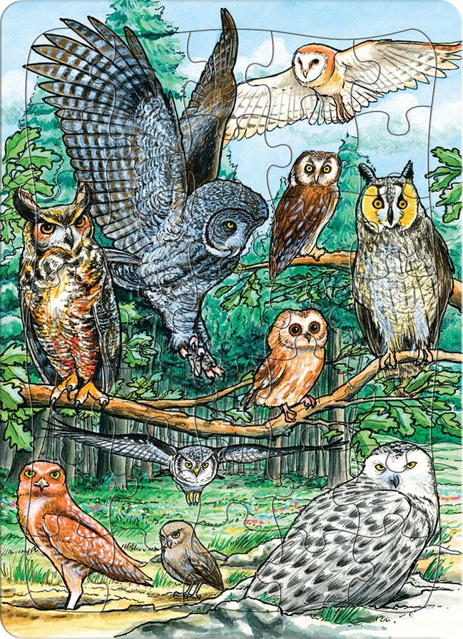 Bird-Themed Mini Puzzles