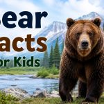 20 Bear Facts for Kids That Will Surprise You
