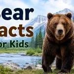 20 Bear Facts for Kids That Will Surprise You