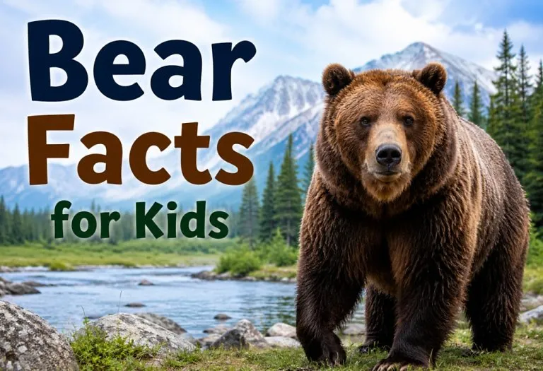 20 Bear Facts for Kids That Will Surprise You