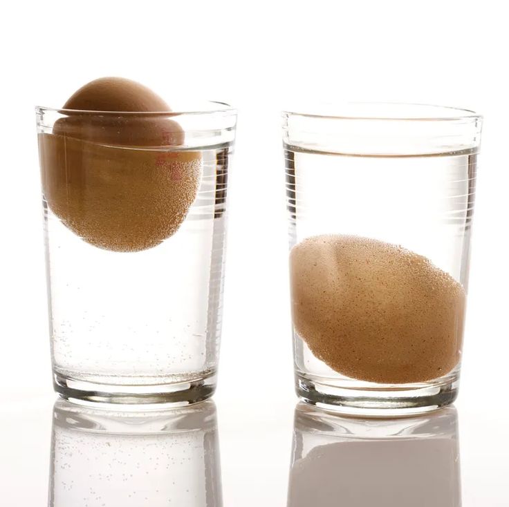 Floating Egg Test