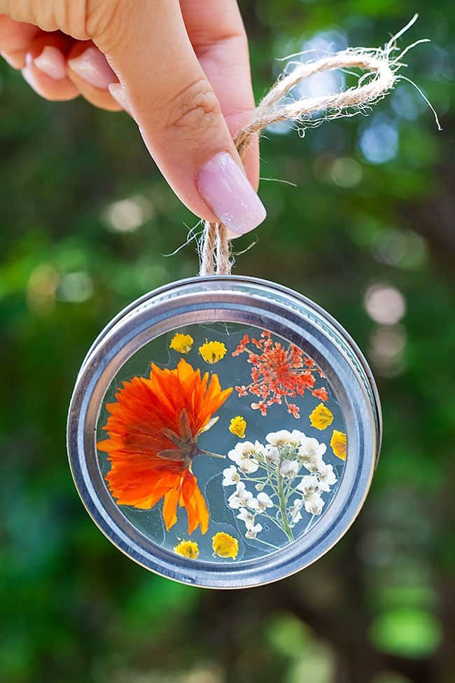 Pressed Flower Suncatchers