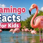 15 Flamingo Facts for Kids to Learn and Enjoy