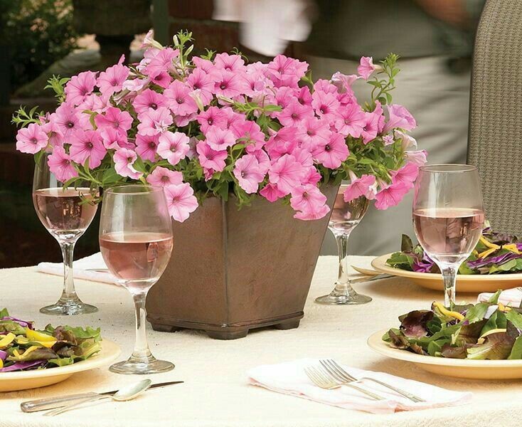 Potted Floral Centrepieces