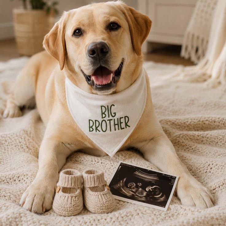 Baby Announcement Bandana