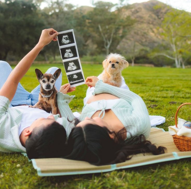 Two Dogs Announcement