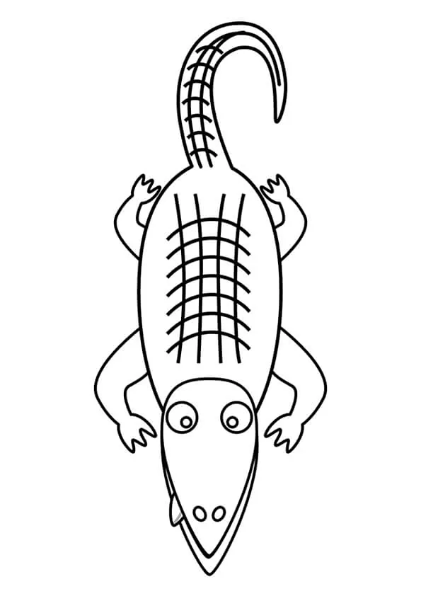 Alligator Colouring Pages