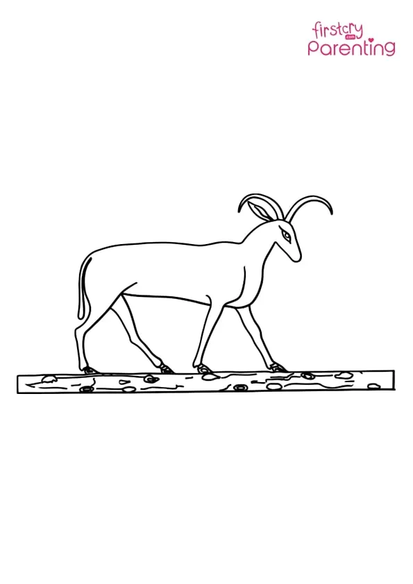 Ancient Egyptian Goat Coloring Page Ancient Egyptian Goat Coloring Page