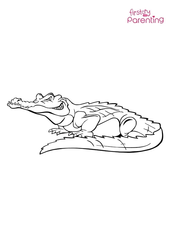 Angry Alligator Coloring Page Colouring Pages