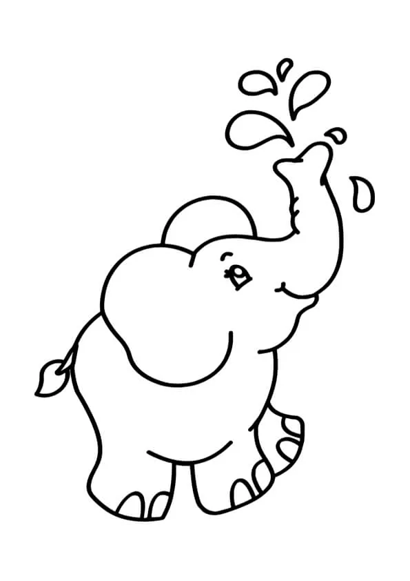Animals Colouring Pages