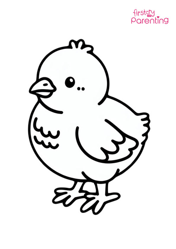 Baby Chick Coloring Page