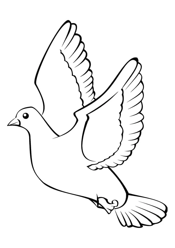 Birds Colouring Pages