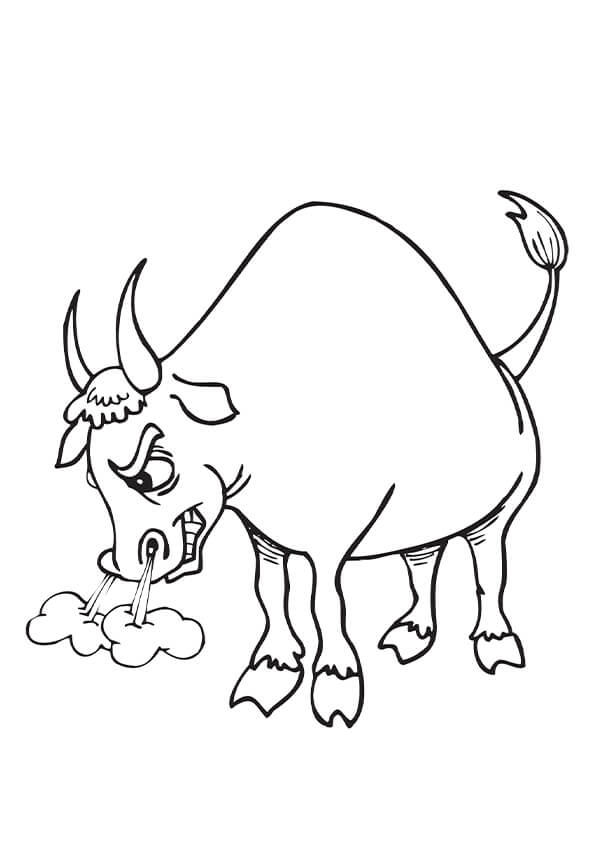 Bull Colouring Pages