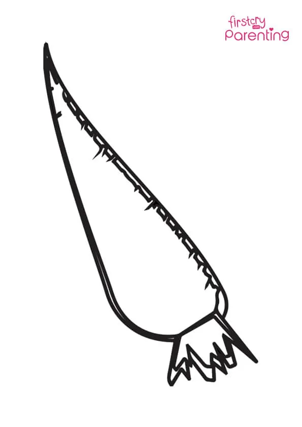Carrot Root Coloring Page
