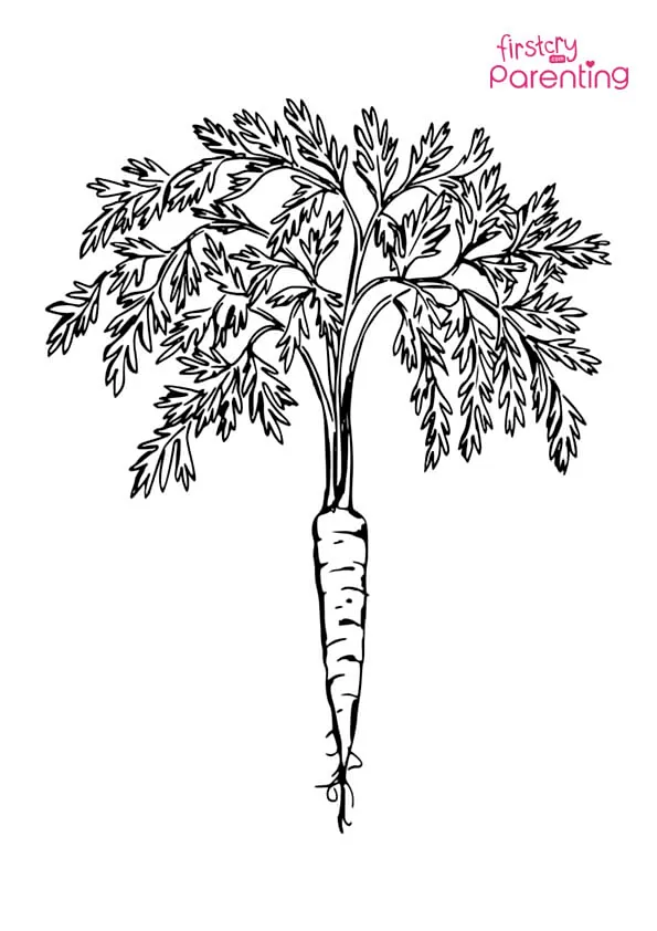 Carrot With Tops Coloring Page