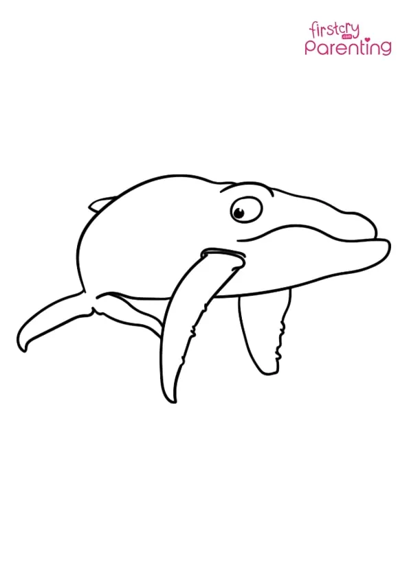 Cartoon Blue Whale Coloring Page Colouring Pages