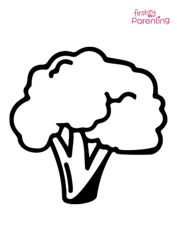 Cauliflower Bud Coloring Page