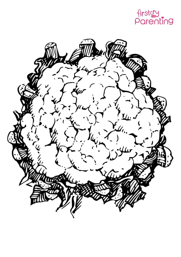 Cauliflower Leafy Green Vegetables Coloring Page