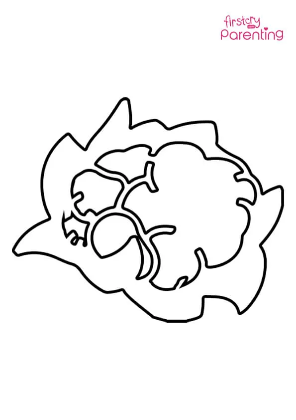 Cauliflower Outline Coloring Page