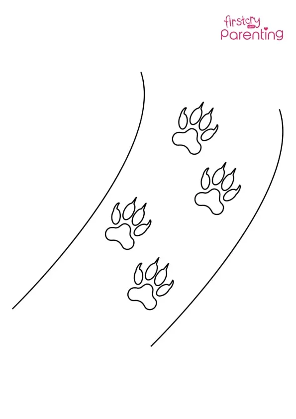 Cheetah Footprints Coloring Page Colouring Pages