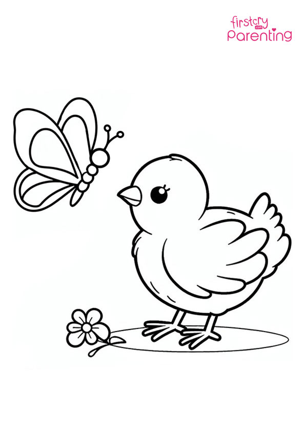 Chick With Butterfly Coloring Page