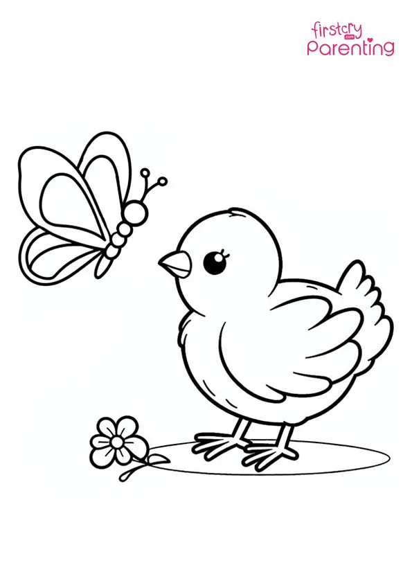 Chick With Butterfly Coloring Page