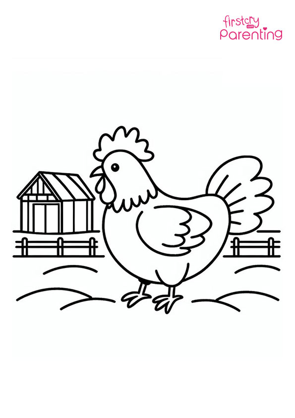 Chicken On A Farm Coloring Page