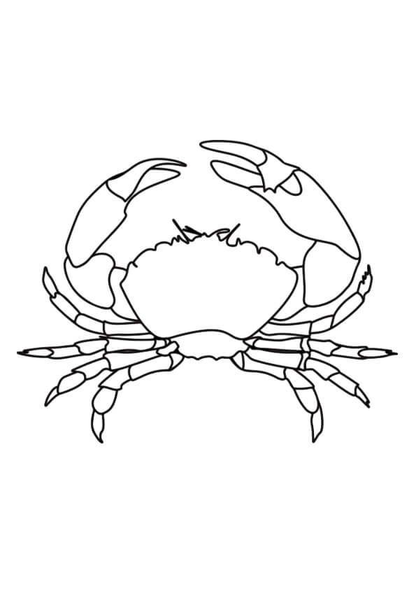 Crab Colouring Pages