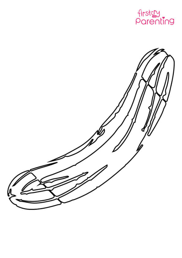 Cucumber Outline Coloring Page