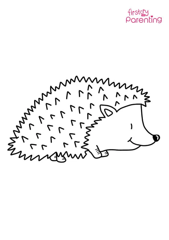Cute Hedgehog Coloring Page Colouring Pages
